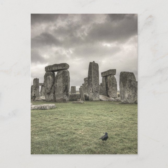 Crow in front of Stonehenge, England Postcard (Front)