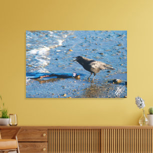 Crow on Mutiny Bay Canvas Print
