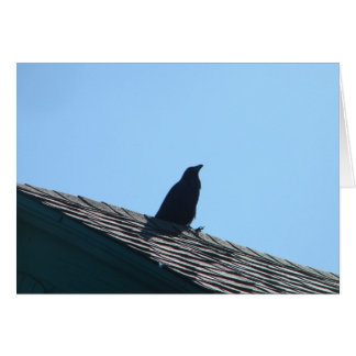 Crow On Roof