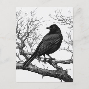 Crow Perched on Bare Winter Branches Postcard
