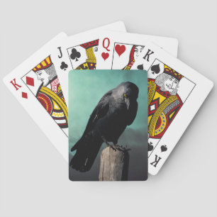 Crow Playing Cards