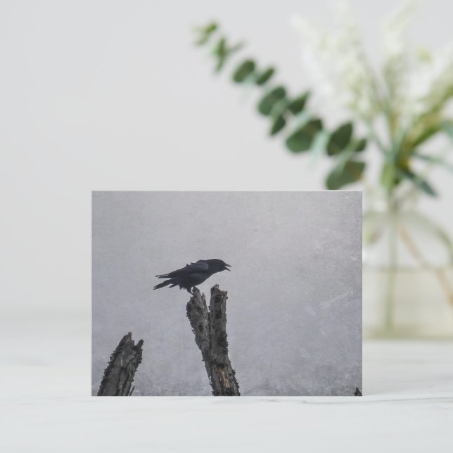 Crow Postcard (Standing Front)