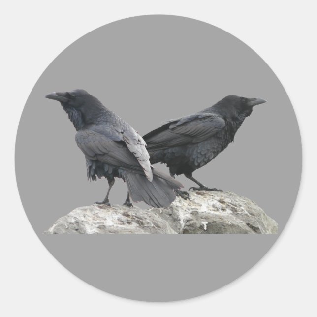 Crow Raven Classic Round Sticker (Front)
