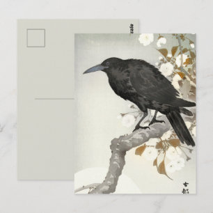 Crow Raven Koson Japanese Bird Crow Postcard