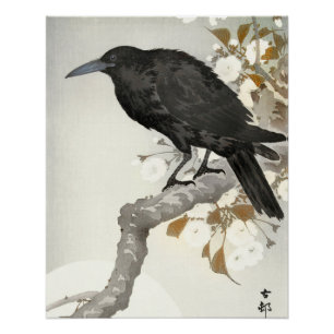 Crow Raven Koson Japanese Bird Crow Poster