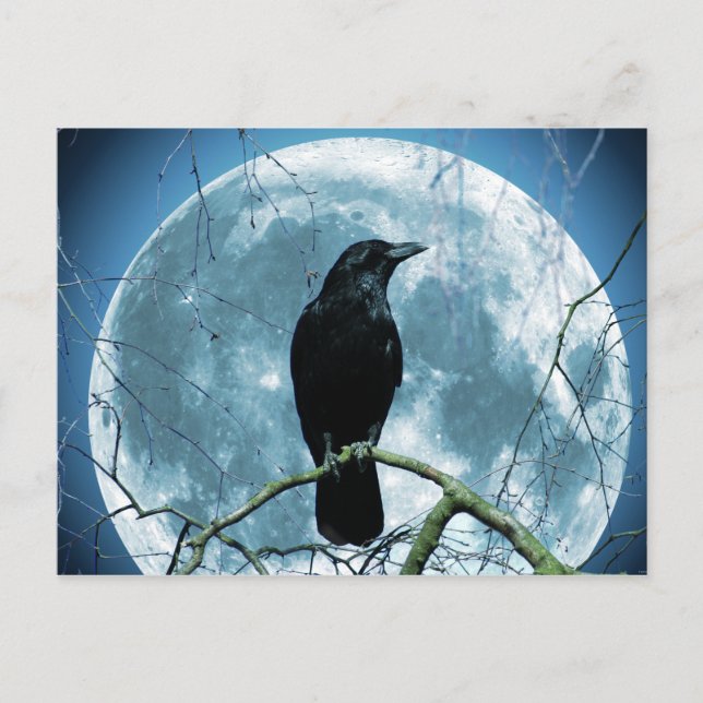 Crow Raven Moon Night Gothic Fantasy Stunning Postcard (Front)