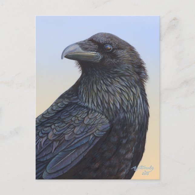 Crow Raven Sunset Painting Art Postcard (Front)