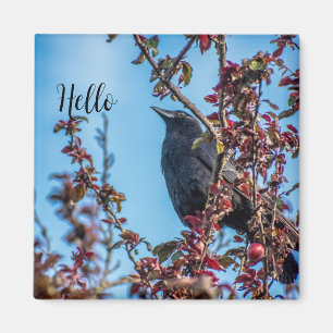 Crow Says Hello Magnet