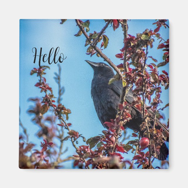 Crow Says Hello  Magnet (Front)