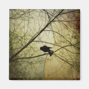 Crow Speak Magnet