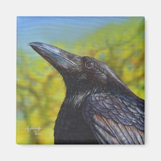 Crow Spring Sky Magnet