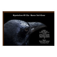 Crow Symbolism