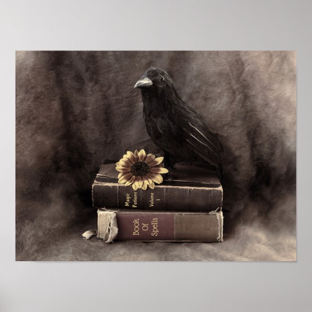 Crow Vintage Gothic Old Books Sunflower Poster (Front)