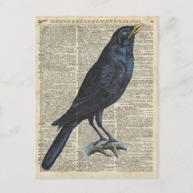 Crow Vintage Illustration At Old Encyclopaedia Postcard (Front)