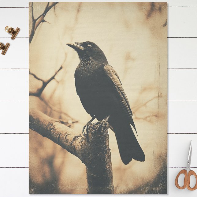 Crow Vintage Style Decoupage Tissue Paper (Creator Uploaded)