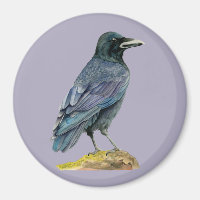 Crow Watercolor Painting