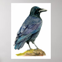 Crow Watercolor Painting