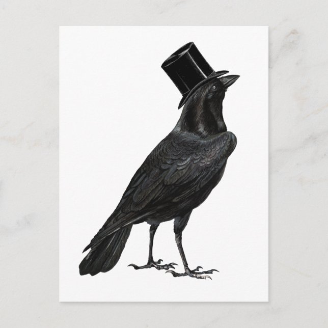 Crow with Top Hat Postcard (Front)
