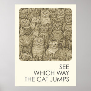 Crowded cats - proverbs poster