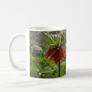 Crown Imperial Flower in Kurdistan Mountains - Wil Coffee Mug
