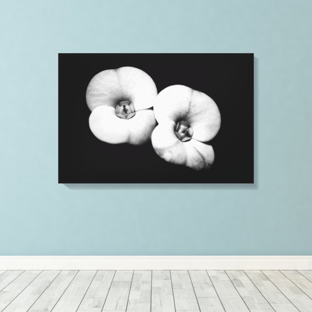 crown of thorns canvas print (Insitu(Wood Floor))