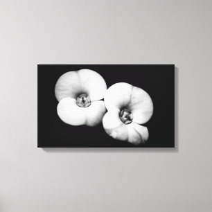 crown of thorns canvas print