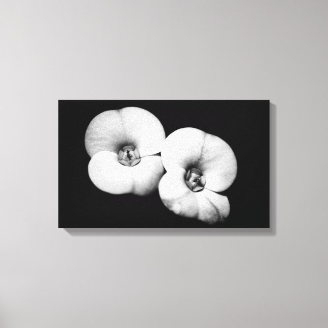 crown of thorns canvas print (Front)