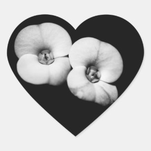 crown of thorns heart sticker