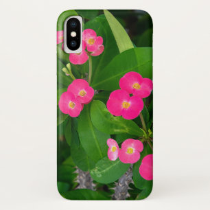 Crown of Thorns pink blossoms Case-Mate iPhone Case