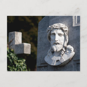 Crown Of Thorns Postcard