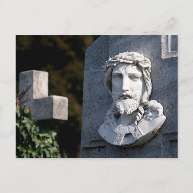 Crown Of Thorns Postcard (Front)