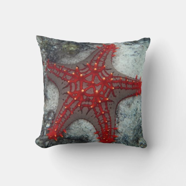 Crown Of Thorns Starfish On The Coral Reef Cushion (Front)