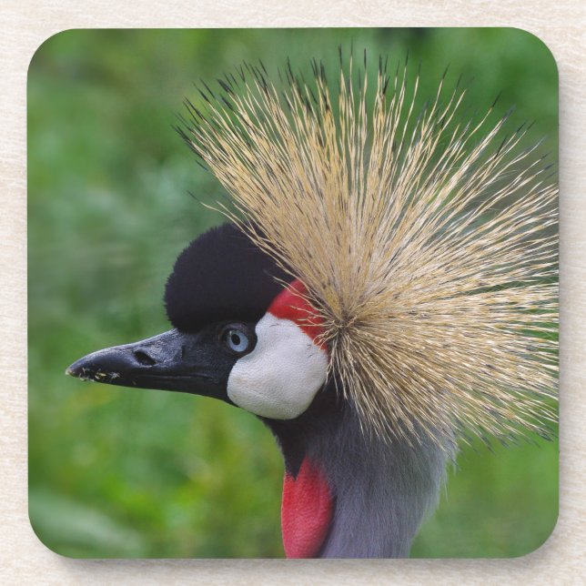 Crowned Crane Coaster (Front)