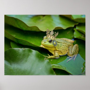 Crowned Frog Prince on Lily Pad Poster