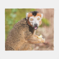 Crowned Lemur's Surprise: A Candid Expression
