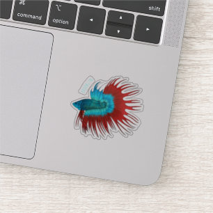 Crowntail betta fish cartoon illustration