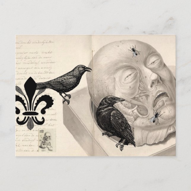 Crows and corpse postcard (Front)