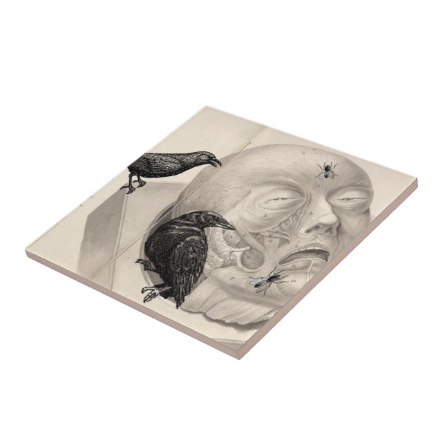 Crows and corpse tile (Side)