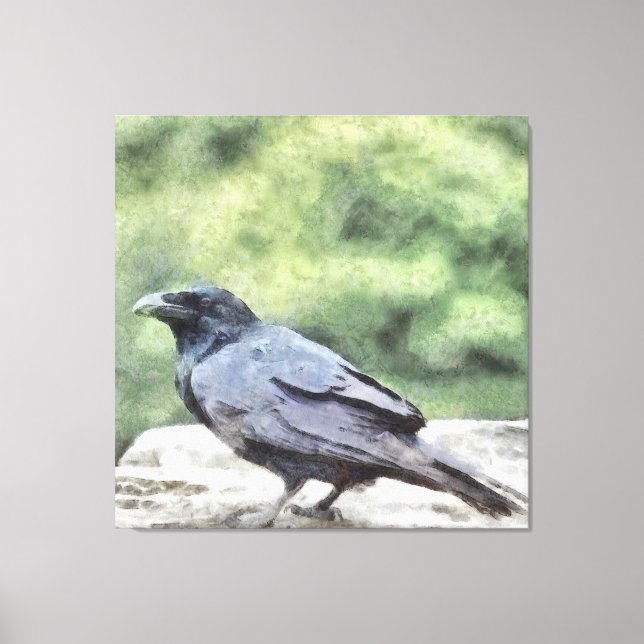Crows Everywhere Are Equally Black Watercolor Art Canvas Print (Front)