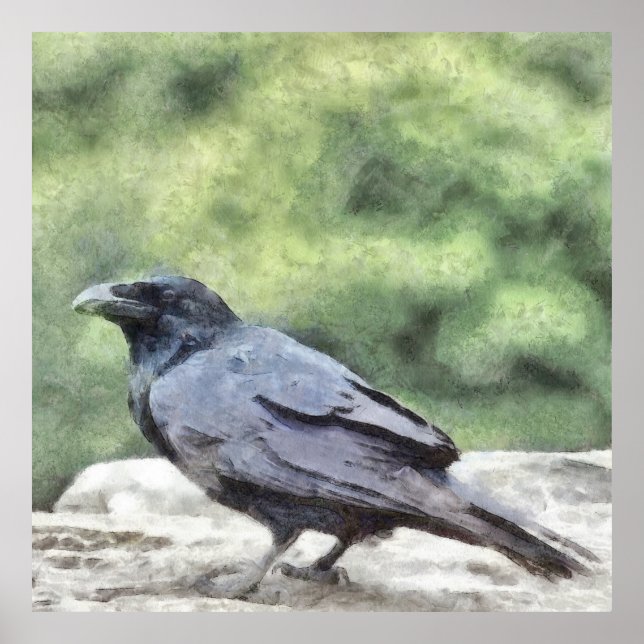 Crows Everywhere Are Equally Black Watercolor Art Poster (Front)