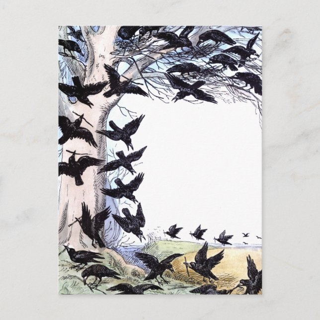 Crows Holiday Postcard (Front)