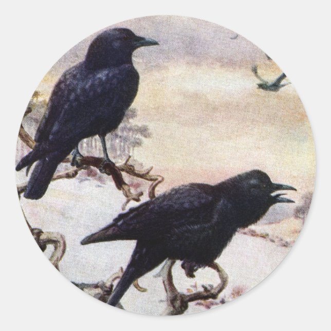 Crows in Winter Vintage Illustration Classic Round Sticker (Front)