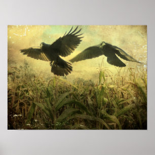 Crows Of The Corn Poster
