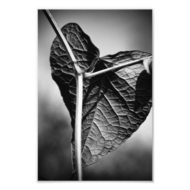 crucified heart photo print (Front)