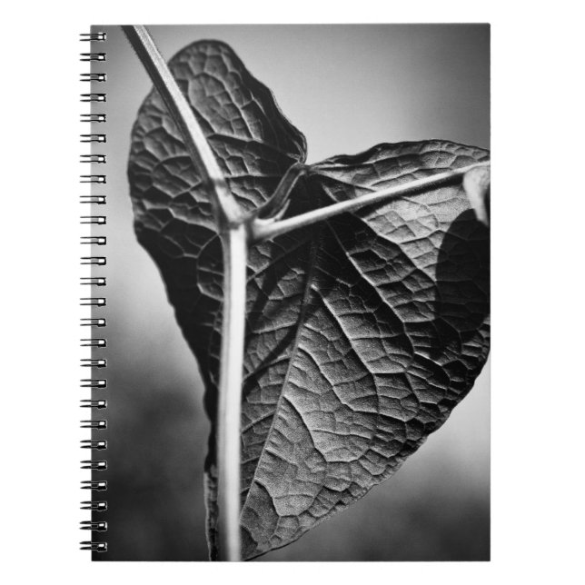 crucified heart spiral notebook (Front)