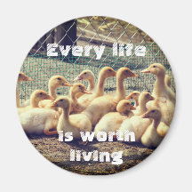 Cruelty free magnet with ducks, vegan