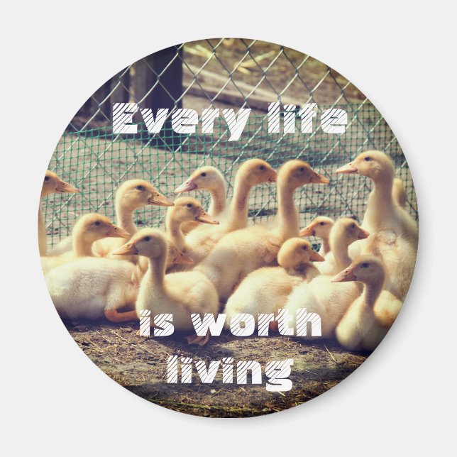 Cruelty free magnet with ducks, vegan (Front)