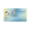 Cruise Aeroplane Train Travel Agency Business Card
