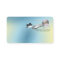 Cruise Aeroplane Train Travel Agency Business Card