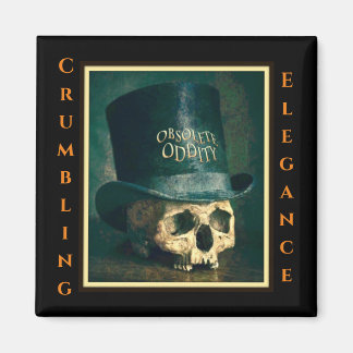 Crumbling Elegance Magnet